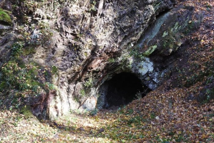 Ilustračný obrázok k článku Čistenie významného geologického profilu pri Rožňave: Náletové dreviny sú už minulosťou