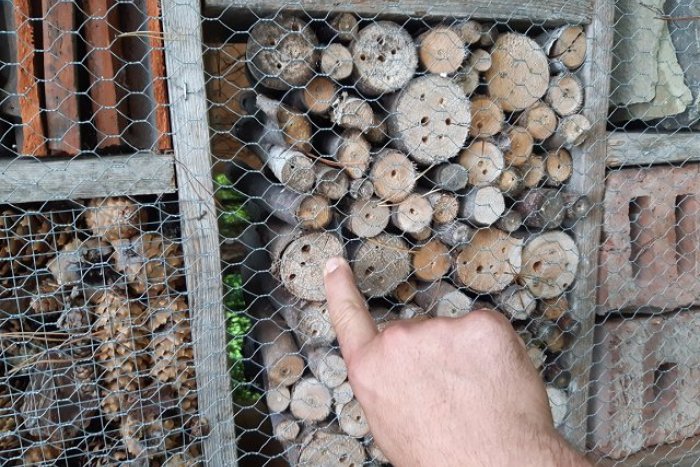 Ilustračný obrázok k článku Lesopark v Šali obohatia: Nové herné prvky aj hotel pre hmyz, FOTO