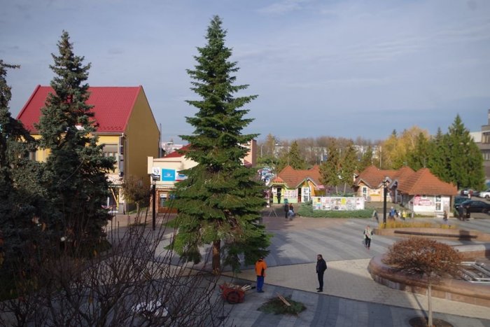 Ilustračný obrázok k článku Na námestí postavili vianočný stromček: Pozrite si ho na FOTKÁCH