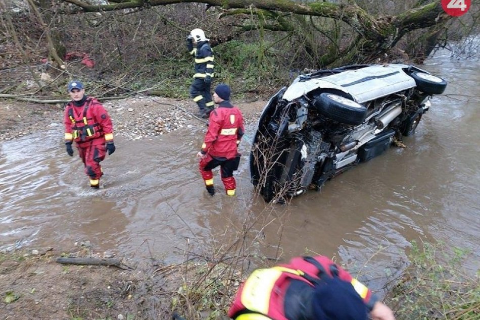 Ilustračný obrázok k článku SVET O SLOVENSKU: Zomrieť za záchranu psov? Riešia to aj v Afrike a v Ázii