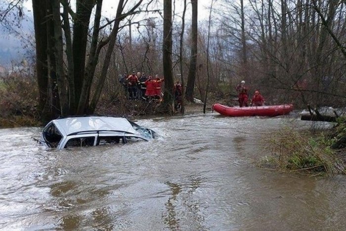 Ilustračný obrázok k článku SVET O SLOVENSKU: Zomreli pre psy - hrdinkami sú hlavne v zahraničí