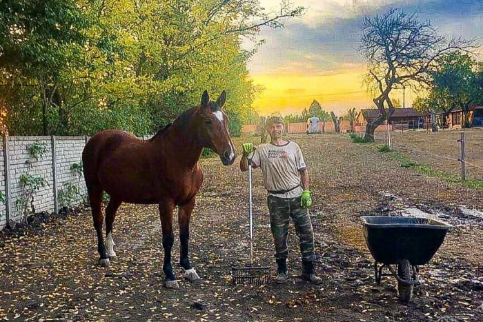 Ilustračný obrázok k článku Netradičná výzva na pomoc týraným zvieratám! Hľadá sa farma pre ich nový život