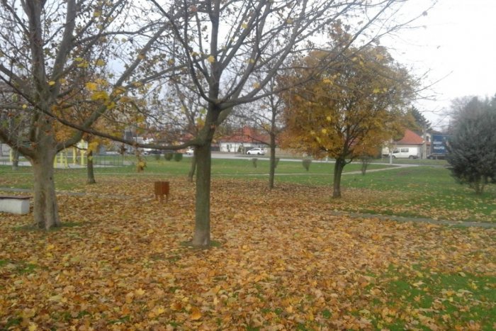 Ilustračný obrázok k článku Štartuje predadventný víkend v Šali: Užite si palacinky, zábavu aj filmové hity