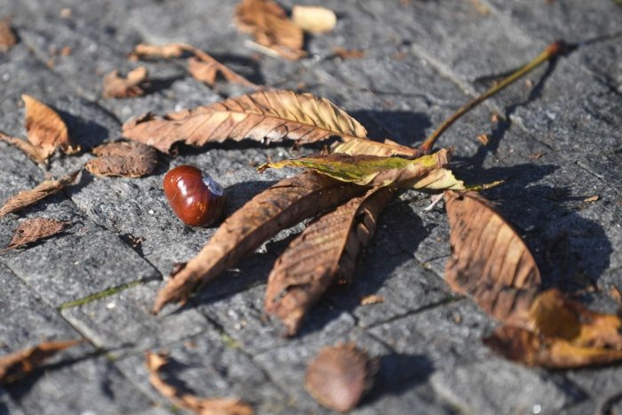 Ilustračný obrázok k článku RANNÁ ŠTVORKA: Nedeľa bude slnečná, meniny oslavuje Emília