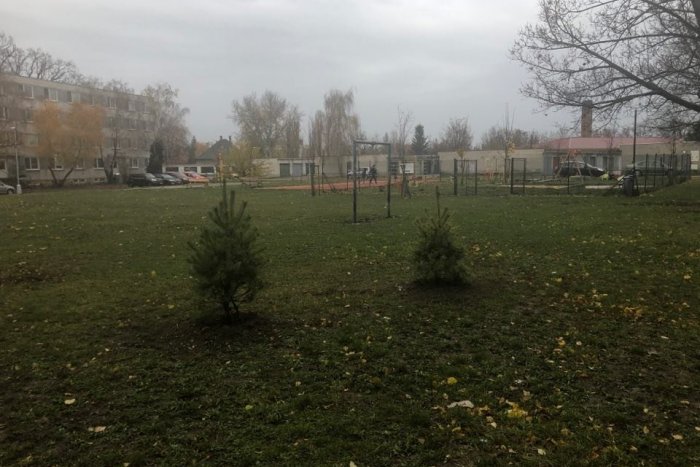 Ilustračný obrázok k článku Novembrové počasie Šali praje: V meste opravili chodník a pribudli stromy, FOTO