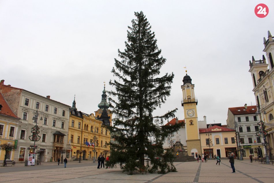 Ilustračný obrázok k článku Bystrický stromček čelí kritike od ľudí. Na námestí nezostane, reaguje mesto