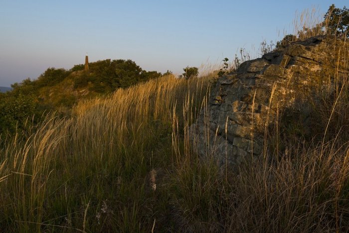 Ilustračný obrázok k článku Ochranári vo Vihorlatských vrchoch pomohli vzácnemu spoločenstvu