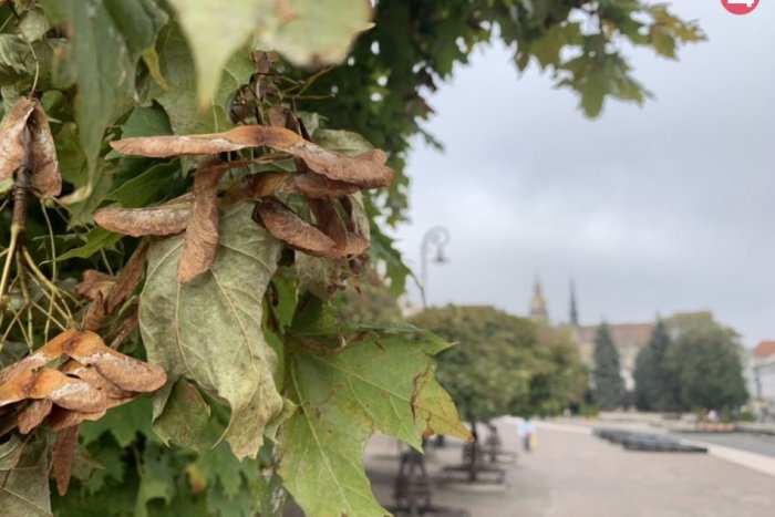 Ilustračný obrázok k článku Máme tu jesennú rovnodennosť. S čím ju spájali naši predkovia?