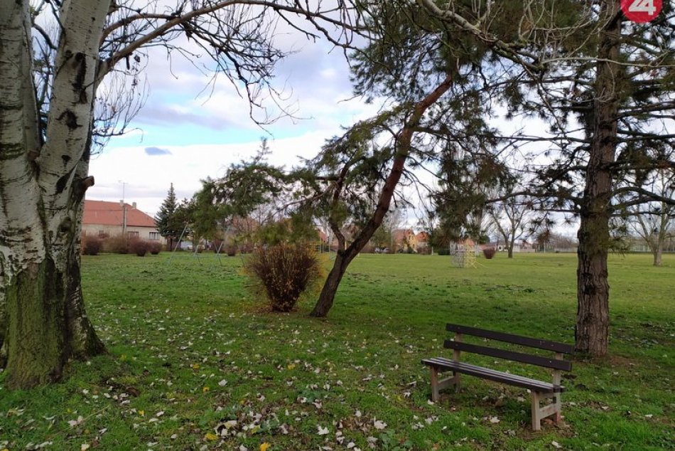 Ilustračný obrázok k článku V Nových Zámkoch je viac ako 7-tisíc drevín: V meste pribudnú kvety a lúčny porast