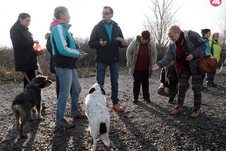 Ilustračný obrázok k článku Mestskí dobrovoľníci zveľadili útulok pre zvieratá a priniesli im stravu a potrebné veci, FOTO