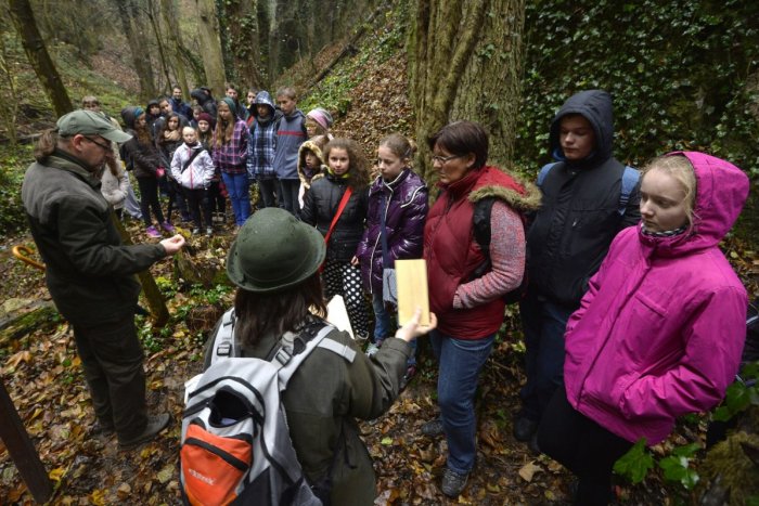 Ilustračný obrázok k článku Nevšedný pilotný projekt v dedinke pri Bystrici. Rozvíjať má vzťah detí k lesu