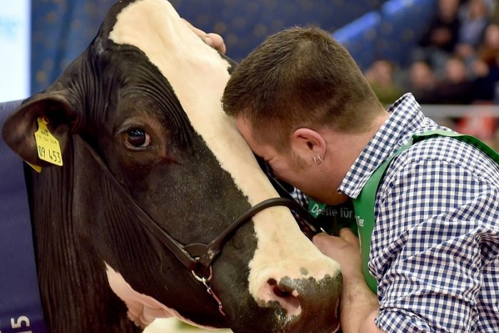 Ilustračný obrázok k článku KURIOZITA DŇA: Nemci smútia za mŕtvou Lady Gaga