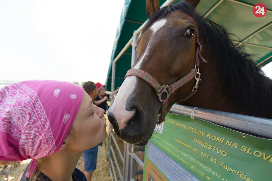 Ilustračný obrázok k článku Na Slovensku vznikne prvé krematórium pre kone. Spopolnenie vám nahrajú na VIDEO