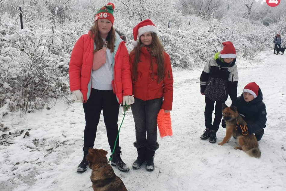 Ilustračný obrázok k článku Žiaci si nasadili mikulášske čiapky a prišli do útulku obdarovať psíkov, FOTO