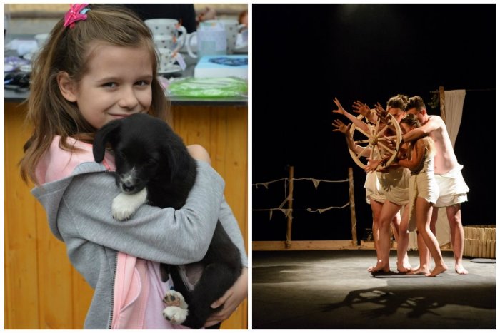 Ilustračný obrázok k článku Komunity, ktoré chcú pomáhať: Ktoré z nich získali podporu verejnosti?