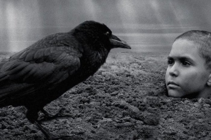 Ilustračný obrázok k článku OBROVSKÝ ÚSPECH: Slovenský film bude po rokoch bojovať o Oscara!