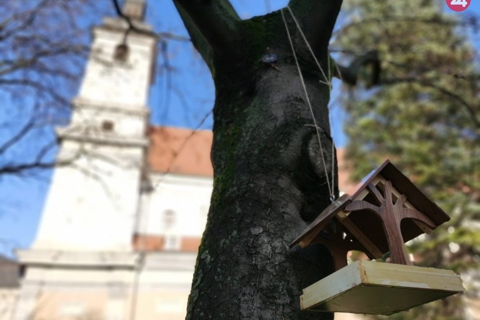 Ilustračný obrázok k článku V Trnave pribudli krmidlá pre vtáky: Tie vlaňajšie niekto ukradol