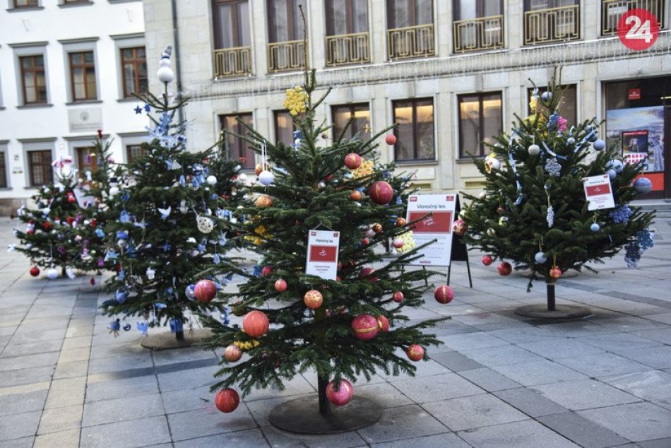 Ilustračný obrázok k článku Stromčeky z Vianočného lesa už našli svoje domovy