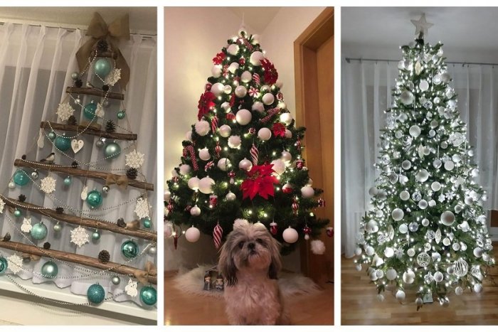 Ilustračný obrázok k článku Vianočné stromčeky podľa Žilinčanov: Čitatelia sa nám pochválili FOTKAMI