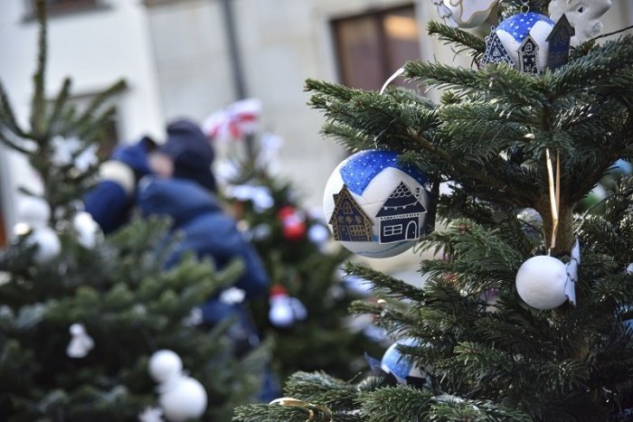 Ilustračný obrázok k článku Živý stromček či umelý? Takto to vidia ochranári!