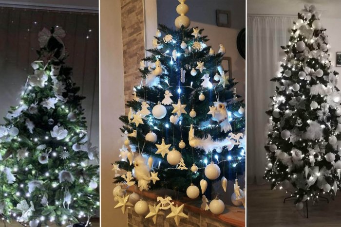 Ilustračný obrázok k článku Mikulášania nás nechali nazrieť do obývačiek: GALÉRIA vianočných stromčekov