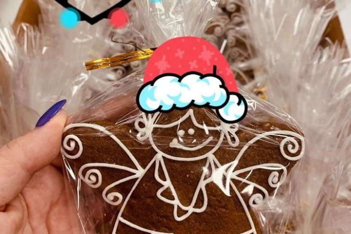 Ilustračný obrázok k článku ROZHOVOR s Janou Zlatou: Šaliansky anjel potešil detské očká aj tento rok