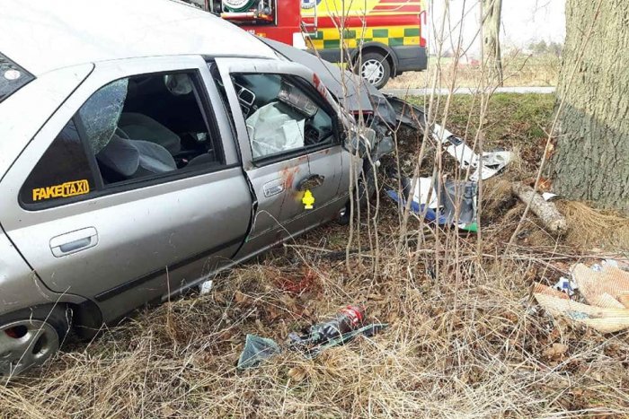 Ilustračný obrázok k článku Tragická nehoda pri Nitre: Vodič vpálil do stromu, tínedžer (†16) nemal šancu, FOTO