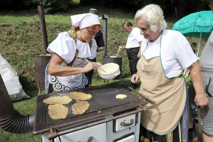 Ilustračný obrázok k článku Tešedíkovčania chceli komunitnú záhradu: Potrebný grant však nezískali