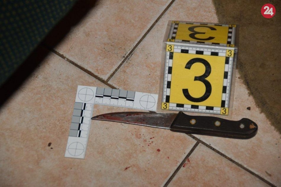 Ilustračný obrázok k článku Zabitie v okrese Trenčín: Žena (43) mala bodnúť muža († 77), FOTO