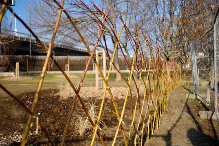 Ilustračný obrázok k článku Mestský ovocný sad dostal plot z vŕbového prútia