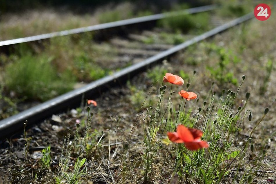 Ilustračný obrázok k článku NEHODA na železničnej trati v Bratislave: Na TOMTO úseku vlaky nejazdia