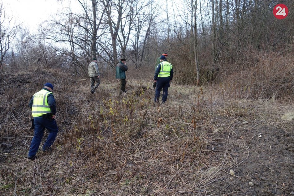 Ilustračný obrázok k článku Bystrickí mestskí policajti reagujú na hrozbu silného vetra: K tomuto vyzvali ľudí