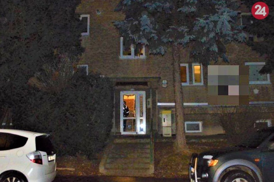 Ilustračný obrázok k článku Polícia o hyenizme opatrovateľky: Okrádala nevládnu starenku, FOTO