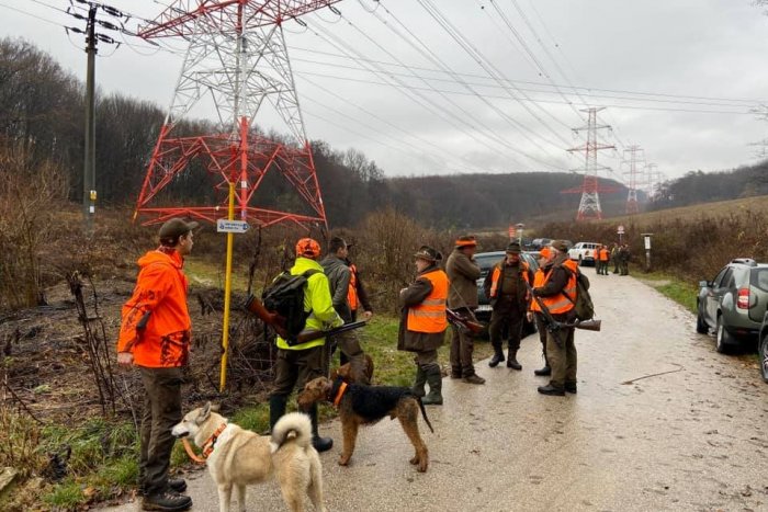 Ilustračný obrázok k článku Výsledky lovu na diviaky na sídlisku KVP. Zastrelili tri mladé diviačatá