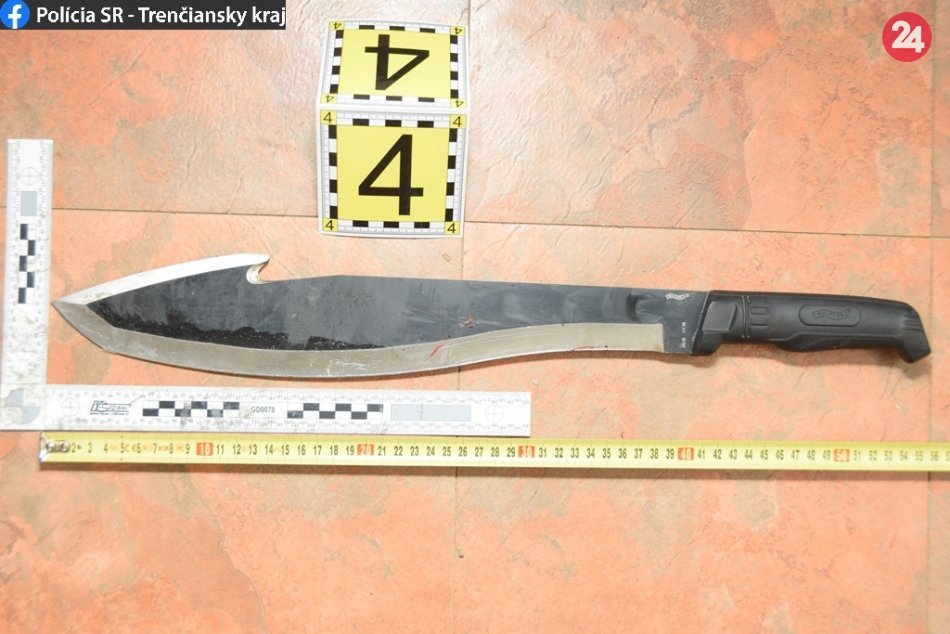 Ilustračný obrázok k článku Syn (51) dosekal matku mačetou (79): Rýchla reakcia trenčianskeho policajta, FOTO
