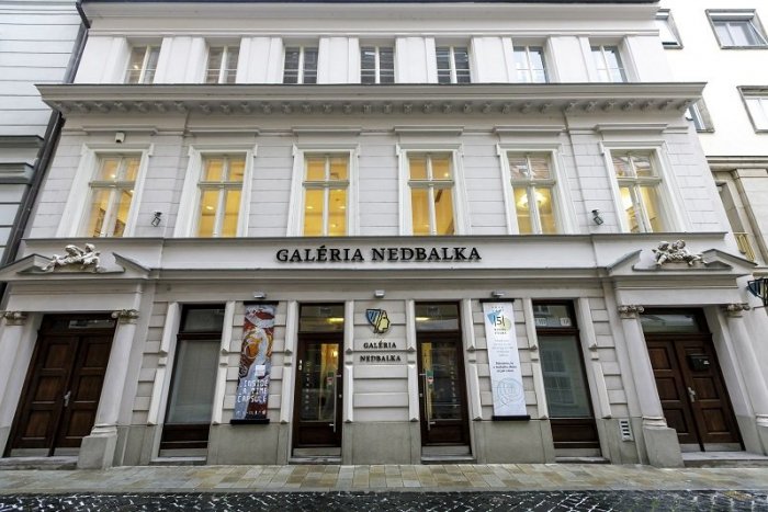 Ilustračný obrázok k článku Hložník má jubileum. V Nedbalke mu otvorili výstavu