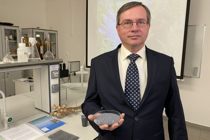 Ilustračný obrázok k článku Skvelé! Úspech ekológov z Prešovskej univerzity, vyšľachtili novú odrodu maku, FOTO