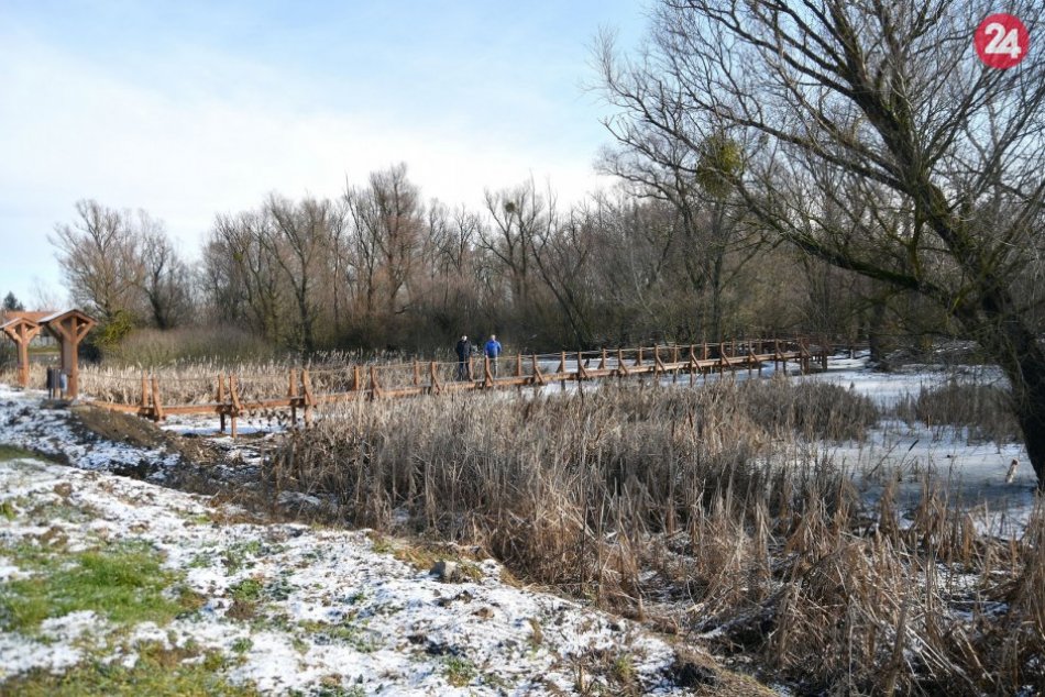 Ilustračný obrázok k článku V našom okrese má vzniknúť nová prírodná rezervácia