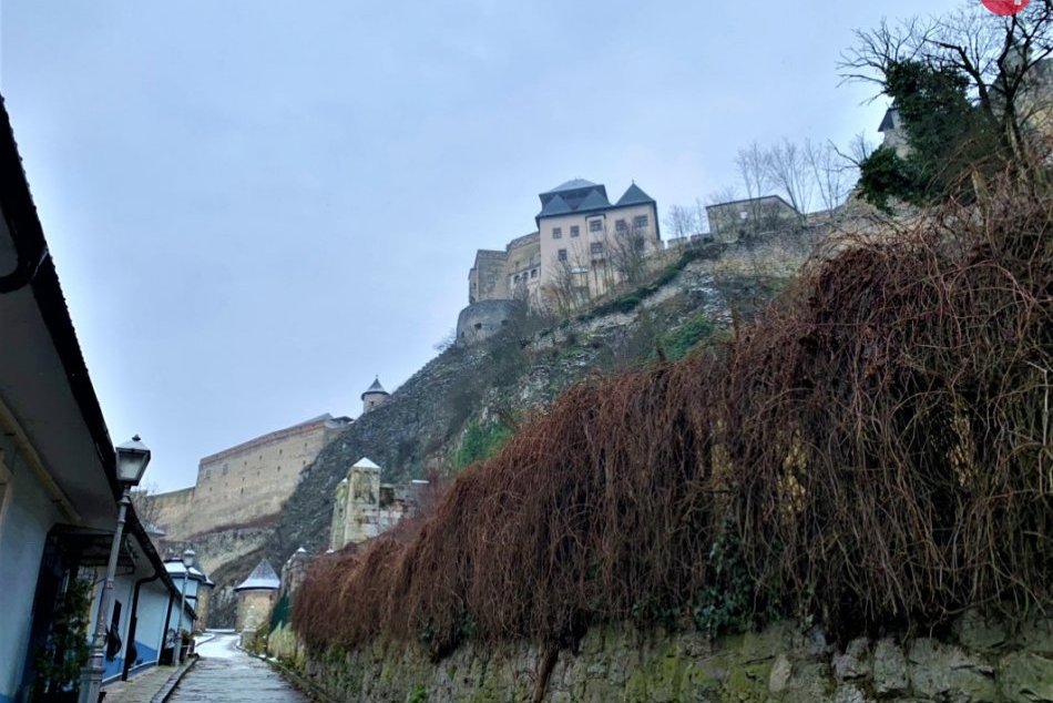 Ilustračný obrázok k článku Zmena klímy sa dotkla aj Trenčína: Problém v meste robia invázne rastliny