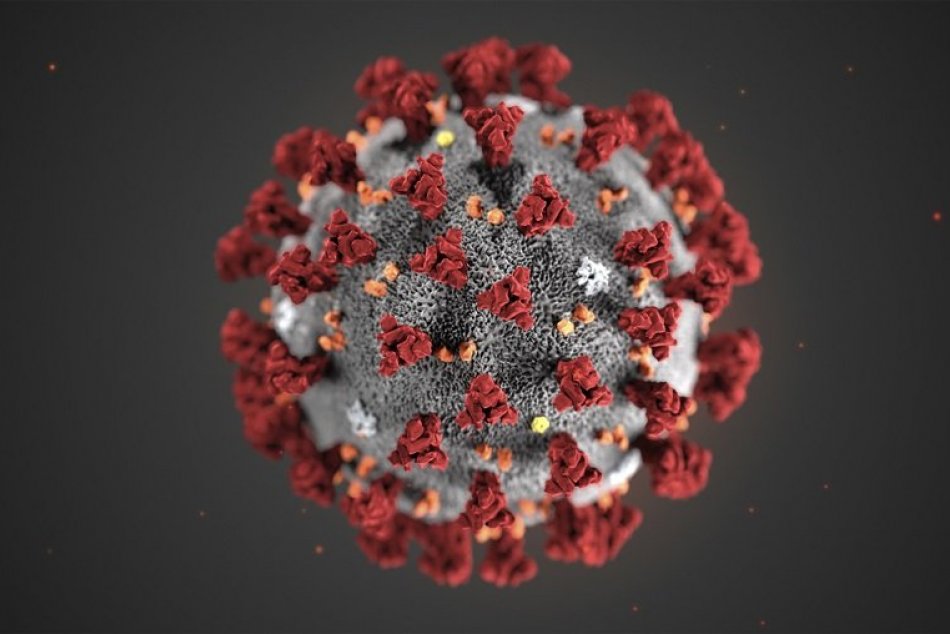 Ilustračný obrázok k článku Prešov v napätí kvôli podozreniam na koronavírus: Poznáme už výsledky pacientov!