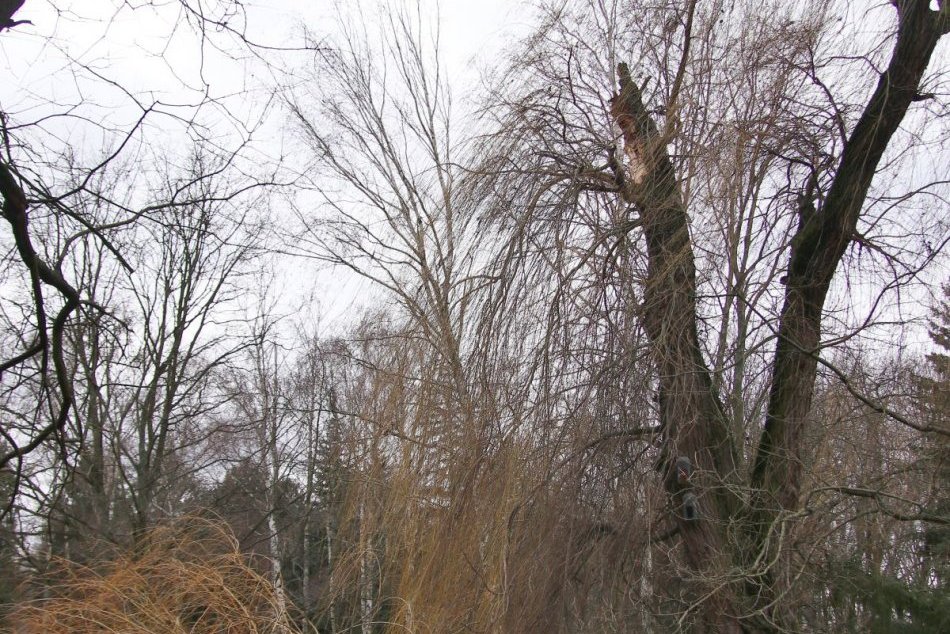 Ilustračný obrázok k článku V Bratislave poriadne FÚKA: Na TÝCHTO miestach hrozí nebezpečenstvo!