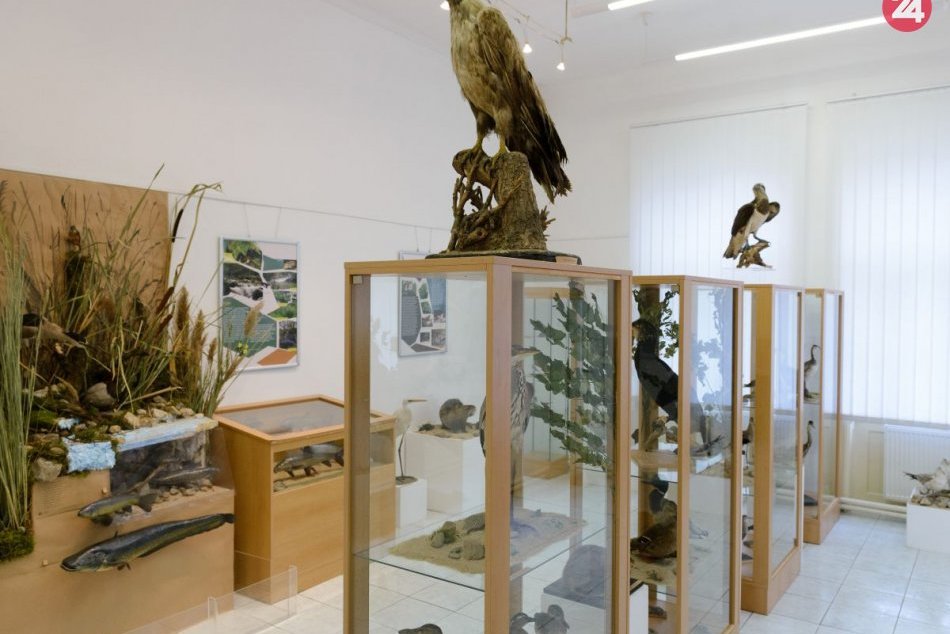 Ilustračný obrázok k článku Tribečské múzeum založili pred 60 rokmi: V zbierkovom fonde má 90-tisíc predmetov