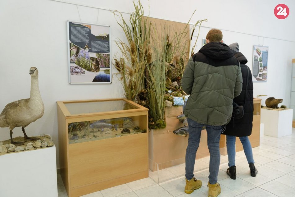 Ilustračný obrázok k článku Tribečské múzeum pripravilo novinku: Láka na podujatie pre všetky deti