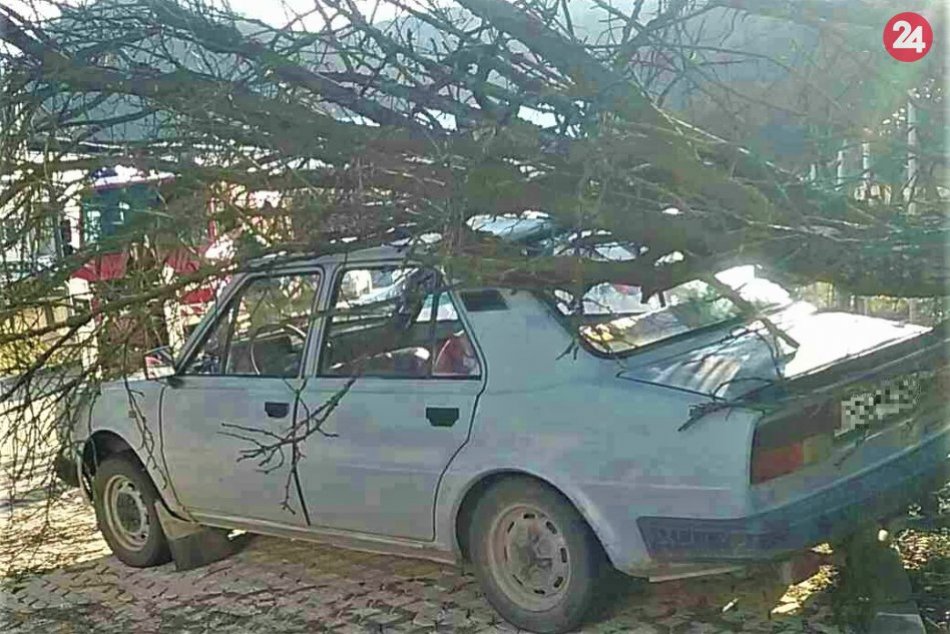 Ilustračný obrázok k článku Víchrica Petra dala Považskej zabrať: Autá rozbíjala jabloň aj vŕba, FOTO