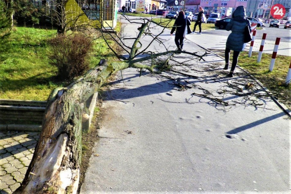 Ilustračný obrázok k článku Počasie zamestnalo hasičov v Žilinskom kraji: Vyrážali na osem zásahov