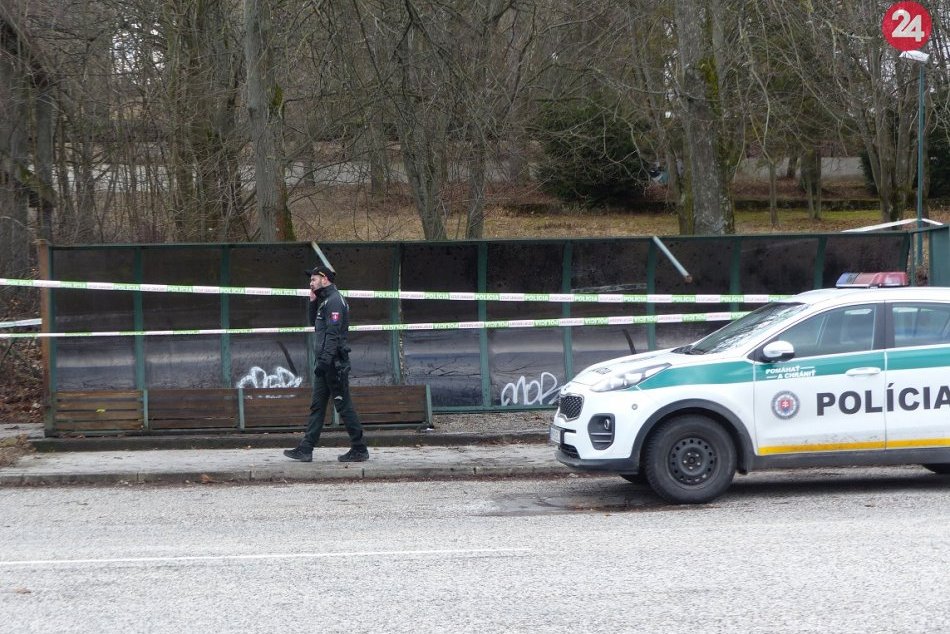 Ilustračný obrázok k článku SVET O SLOVENSKU: Kto môže za smrť dieťaťa pod zastávkou?