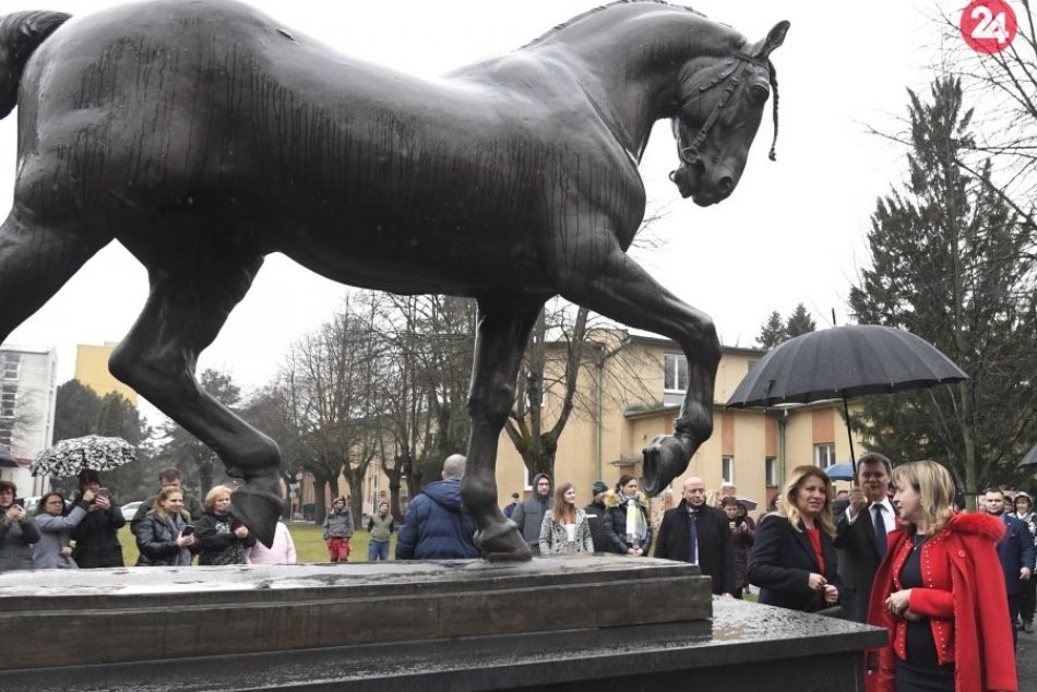 Ilustračný obrázok k článku Je štúdium na košickej Veterine pre nórskych študentov bezpečné?