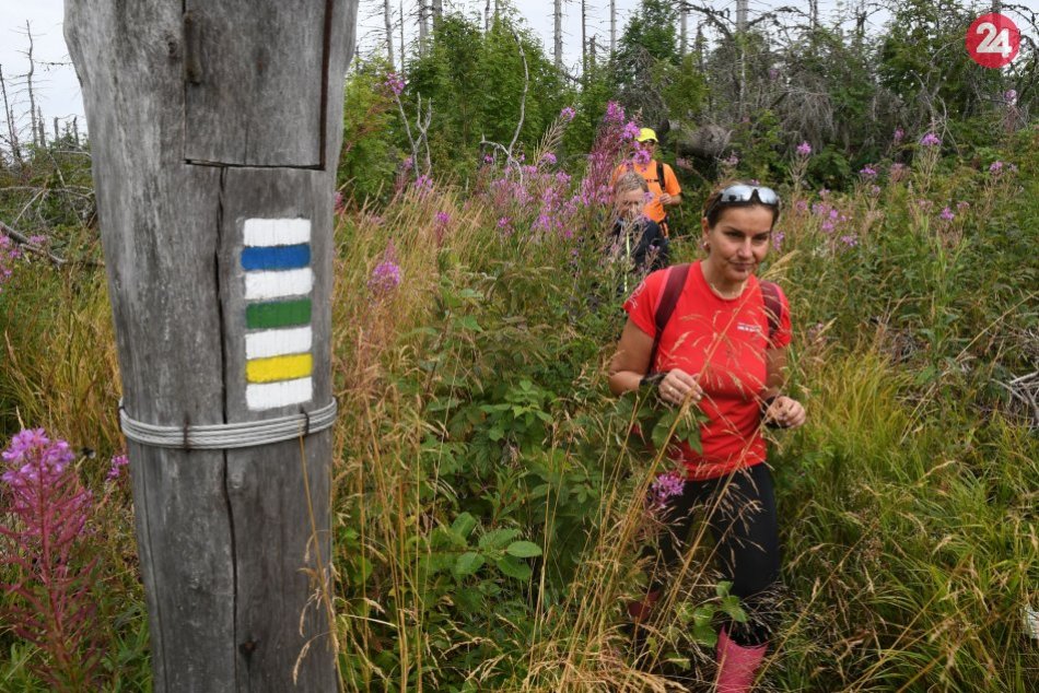 Ilustračný obrázok k článku Turistický bus do Slovenského raja: Po novom rátajte s týmito novinkami
