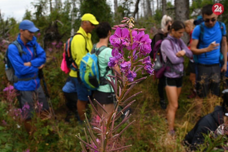 Ilustračný obrázok k článku LETNÝ KVÍZ plný inšpirácie: Poznáte najkrajšie miesta v okolí Spišskej?