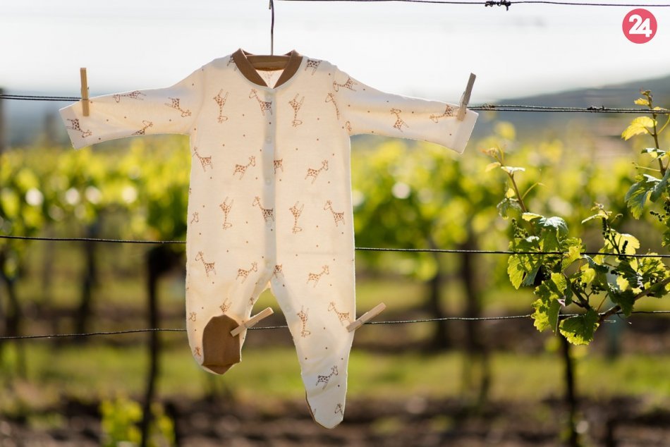 Ilustračný obrázok k článku Čakáte bábätko? Je tu nový trend, ako byť ekologickou i ekonomickou mamičkou